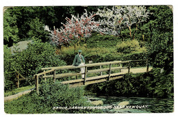 Ref 1473 - 1906 Postcard - Man On Bridge - Carnanton Woods Near Newquay Cornwall - Newquay