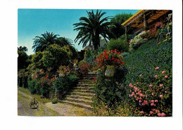 06 - LE RAYOL - Escalier Fleuri - 8077 - Rayol-Canadel-sur-Mer