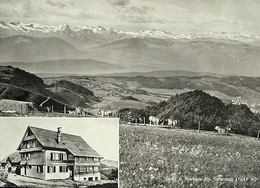 WALD ZH Gast- U. Kurhaus Alp Scheidegg Kühe - Egg