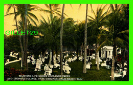 PALM BEACH, FL - ENJOYING LIFE UNDER COCOANUT TREES AND TROPICAL FOLIAGE - ANIMATED - PUB BY THE H & W.B. DREW CO - - Palm Beach