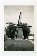 D785 - Lisse - Foto Ong 8x12cm - Molen - Moulin - Mill - Mühle - - Lisse