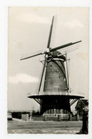 D787 - Monster - Molen - Moulin - Mill - Mühle - - Maassluis