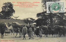 CPA - Afrique > Sénégal > La Traite Des Arachides - Les Graines Viennent De L'Intérieur - Col. Générale FORTIER - BE - Senegal
