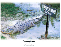 (JJ 11) Austrlia - QLD - Thursday Island (with Crocodile) - Far North Queensland