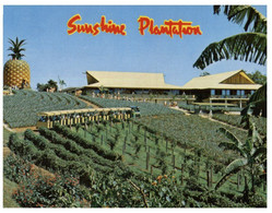 (JJ 11) Austrlia - QLD - Sunshine Plantation - Sunshine Coast