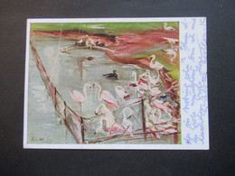 BRD 1952 Posthorn Nr. 127 EF Auf Künstlerkarte Flamingos In Hellabrunn Orts Postkarte Stempel München Neuaubing - Briefe U. Dokumente