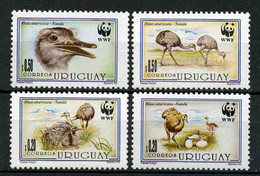 Uruguay 1993 Mi.No. 2021 - 2024 Birds Wwf Greater Rhea ñandú 4v  MNH** 4,60 € - Avestruces