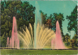 Parco Del Valentino E Nuova Fontana Luminosa - Torino - Parchi & Giardini