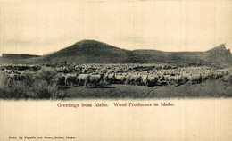 GREETINGS FROM IDAHO WOOL PRODUCERS IN IDAHO  USA EEUU - Altri & Non Classificati