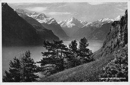 Urnersee Mit Bristenstock - Sonstige & Ohne Zuordnung