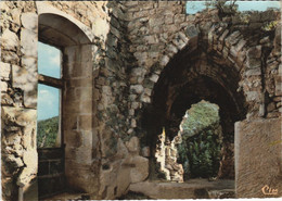 CPM OPPEDE-le-VIEUX Ruine Du Chateau Feodal (1087326) - Oppede Le Vieux