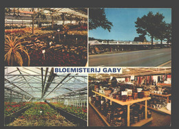 Aarschot - Bloemisterij Gaby - Aarschot