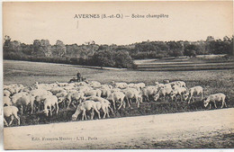 95 AVERNES  Scène Champêtre - Avernes