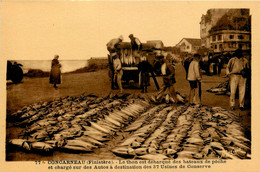 Concarneau * Retour De Pêche Aux Thons * Chargement Des Poissons Pour Les Usines De Conserve * Thon Thoniers - Concarneau