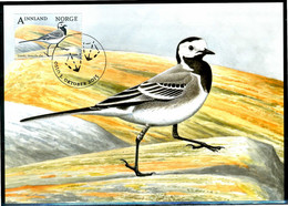 NORVEGIA / NORWAY 2015 - Uccello / Bird - "Motacilla Alba" - Maximum Card - Sparrows