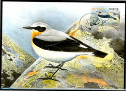 NORVEGIA / NORWAY 2015 - Uccello / Bird - "Oenanthe Oenanthe" - Maximum Card - Passeri