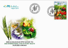 Turkey 2020 FDC   INTERNATIONAL YEAR OF PLANT HEALTH Insects - Légumes - Ohne Zuordnung