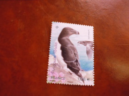 ANNEE 2021TIMBRE NEUF** PINGOUIN TORDA YVERT N° 5459 - Unused Stamps