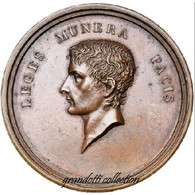 NAPOLEONE BONAPARTE COSTITUZIONE REPUBBLICA ITALIANA A LIONE 1802 MEDAGLIA RARA - Adel