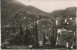 CORTE - CORSE - CARTE PHOTO - VUE GENERALE ANNEE 1950 - Corte