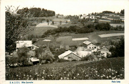 Saxel * Carte Photo * Panorama Du Village * Photographe Lamy - Andere & Zonder Classificatie