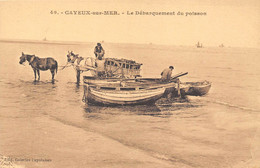 80-CAYEUX-SUR-MER- LE DEBARQUEMENT DU POISSON - Cayeux Sur Mer