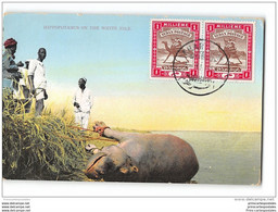 CPA Hippopotamus One The White Nile - Sudan