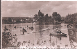 CPSM - Viry-Chatillon - Pêcheurs Sur La Seine - Viry-Châtillon