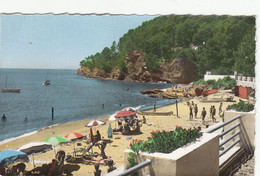 83 - LE RAYOL - VAR - LA PLAGE - ANIMEE - VOIR SCANS - Rayol-Canadel-sur-Mer