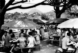 Porto Vecchio * Santa Giulia * Le Club Med * Le Restaurant Sous Les Pins * Corse Du Sud 2A - Autres & Non Classés