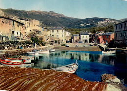 Port Centuri * La Marine * Panorama * Haute Corse 2B - Autres & Non Classés