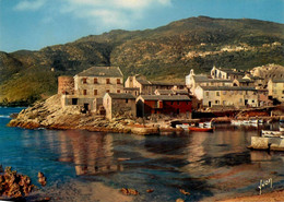 Port Centuri * La Marine * Panorama Du Village * Haute Corse 2B - Sonstige & Ohne Zuordnung