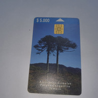 Chile-(cl-tlf-011)-araucarias-(72)-($5.000)-(G03614434)-(12/1999)-(tirage-20.000)-used Card+1card Prepiad Free - Chili