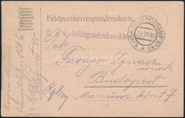 1915 Tábori Posta Levelezőlap "K.U.K. GEBIRGSTELENHON-ABTEILUNG NR. 6." - Other & Unclassified