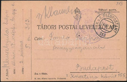 1915 Tábori Posta Levelezőlap "FP 313" - Other & Unclassified