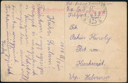 1917 Tábori Posta Képeslap "M. KIR. SZÉKESFEHÉRVÁRI 17. NÉPFELKELŐ GYALOG EZRED" - Other & Unclassified