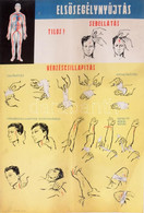 Cca 1950 Elsősegélynyújtás. Sebellátás, Vérzéscsillapítás, Propaganda Plakát,Bp., Belügyminisztérium Polgári Védelem Ors - Altri & Non Classificati