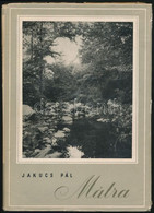 Jakucs Pál: Mátra. Csergezán Pál Illusztrációival. Magyar Tájak. Bp., 1965, Művelt Nép. Fekete-fehér Egészoldalas Fotókk - Unclassified