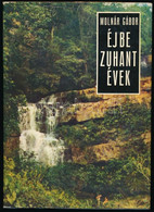 Molnár Gábor: Éjbe Zuhant évek. Bp., 1973, Szépirodalmi. Egészműbőr-kötés, Kopottas Papír Védőborítóban De Egyébként Jó  - Unclassified