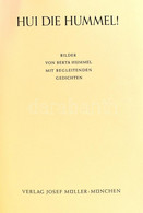 Hui, Die Hummel! Bilder Von Berta Hummel Mit Begleitenden Gedichten. München, 1939, Müller. Kiadói Egészvászon Kötésben, - Unclassified