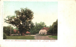 ROMANIA - Sibiu/Nagyszeben/Hermannstadt - Grosser Ring 1901