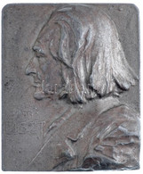 DN "Franz Liszt" Bronzozott Fém (Sn?) Plakett. Szign.: F. Stias (62x52mm) T:2- ND "Franz Liszt" Bronze Plated Metal (Sn? - Unclassified