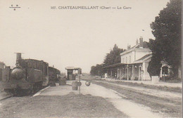 CHATEAUMEILLANT - LA GARE - Châteaumeillant