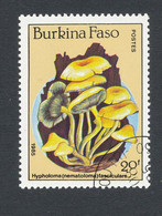 HYPHOLOMA FASCICULAIRE - Burkina Faso (1984-...)