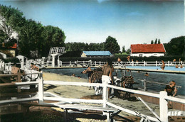 ESSONNE  PALAISEAU  La Piscine    (cpsm) - Palaiseau