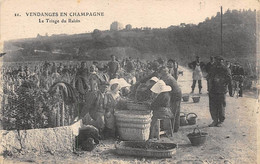 Divers . Non Classés    51     Vendange En Champagne.    Triage Du Raisin    N°21       (voir Scan) - Autres & Non Classés