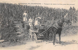 Divers . Non Classés    51     Vendange En Champagne Transport Du Raisin Pour Y être Pressuré   (voir Scan) - Sonstige & Ohne Zuordnung