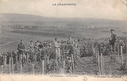 Divers . Non Classés    51     Vendange En Champagne    La Cueillette    - 3 -                      (voir Scan) - Autres & Non Classés