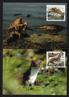 LIECHTENSTEIN  -EUROPA 2021-" FAUNA NACIONAL EN PELIGRO - ENDANGERED NATIONAL WILDLIFE"- MAXIMUM CARD Of The SET - 2021