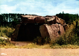 N°78966GF -cpsm Connerré -le Dolmen- - Dolmen & Menhirs